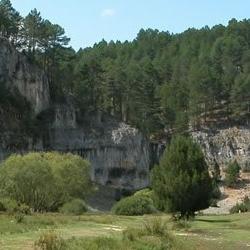 lobos5